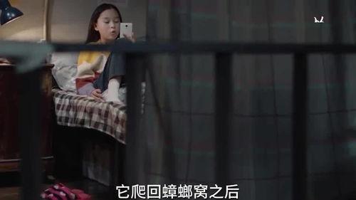 瓜姐最新爆料秘密视频,神秘视频背后的惊人真相