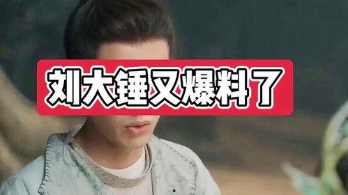 刘大锤12点爆料视频,揭秘背后惊人真相！